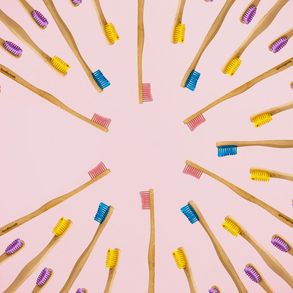 Bamboo Toothbrush Quarterly Gift Subscription